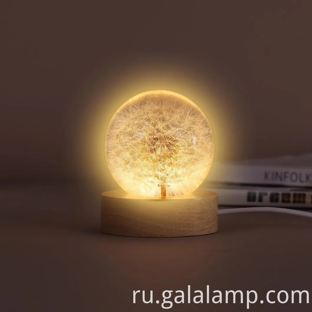 Вечный цветочный ночной свет, подарок, который никогда не увядает